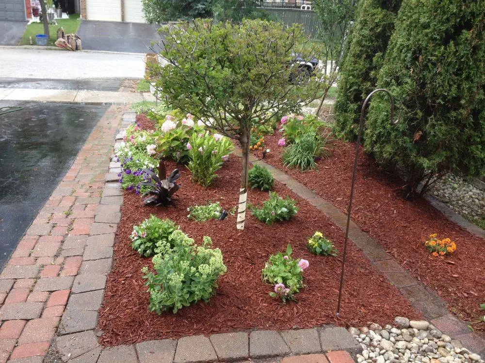Mulched planting bed alongside a brick walkway